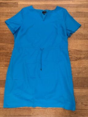 The Limited Women's Blue Knee Length Drawstring Shift Dress - Size XXL
 b5